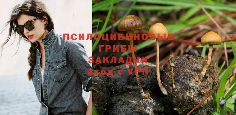 МЕГА ТОР  где купить   Вельск  Галлюциногенные грибы Psilocybe 